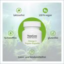 NatuGena Omega 3 Vegane Kapseln 90 St Shop Apotheke