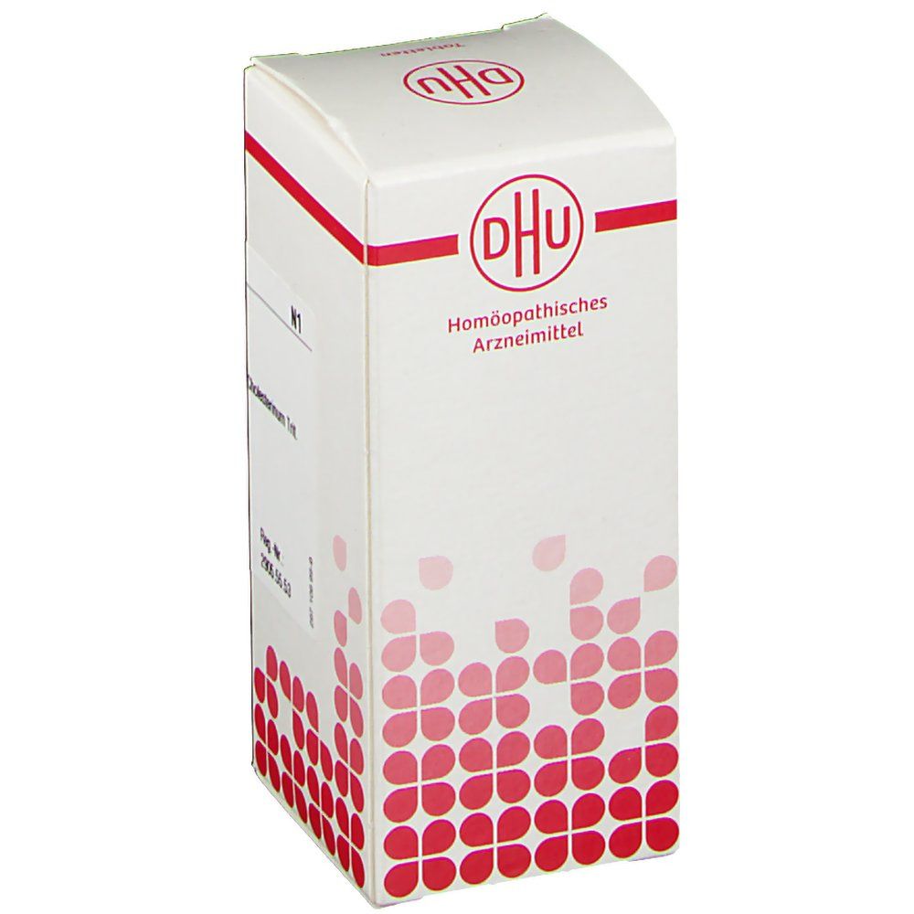 DHU Cholesterinum D12 80 St Shop Apotheke