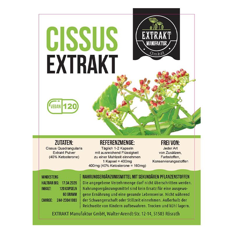 Extrakt Manufaktur Kapseln Cissus Quadrangularis St Shop Apotheke