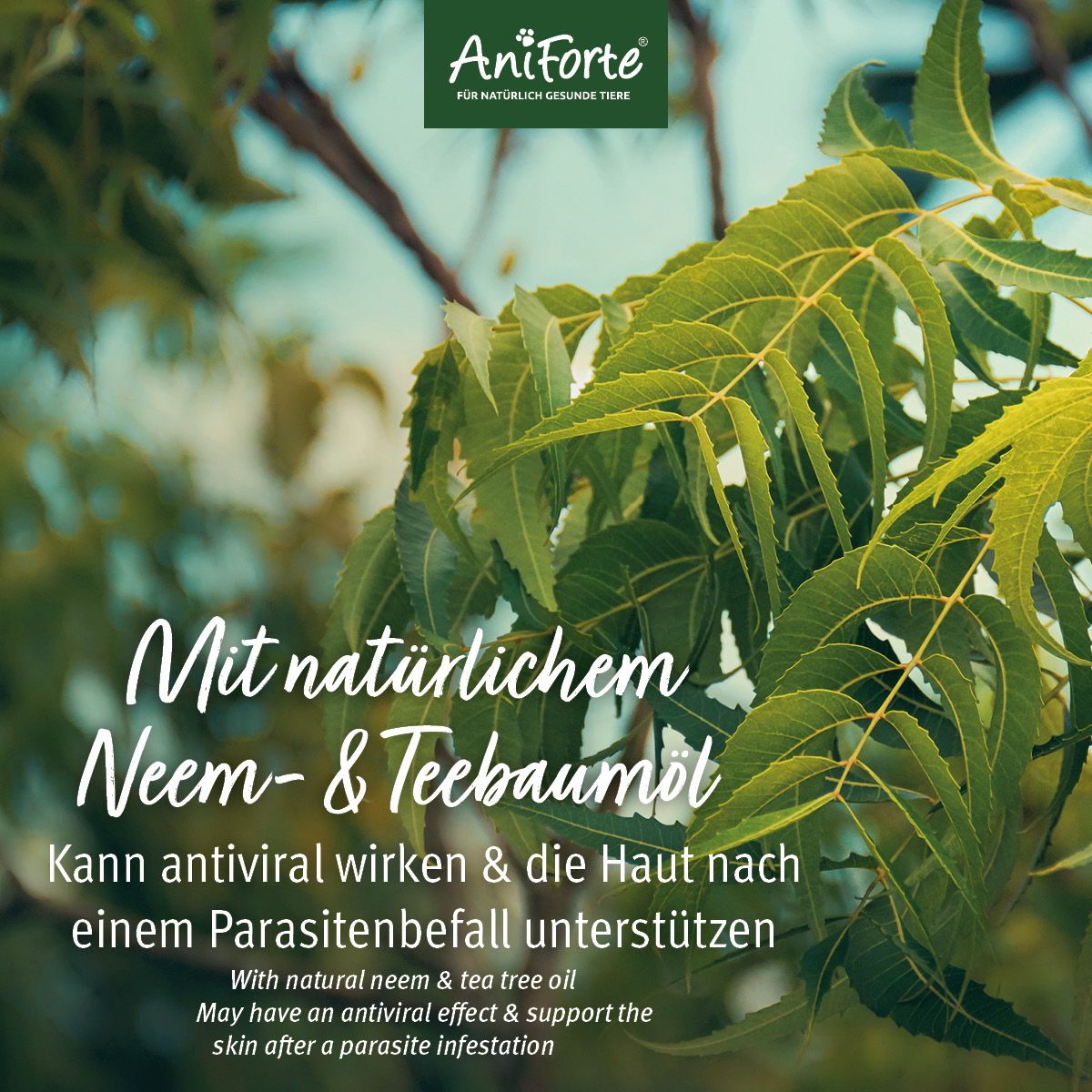 Aniforte Neem L Shampoo Ml Shop Apotheke