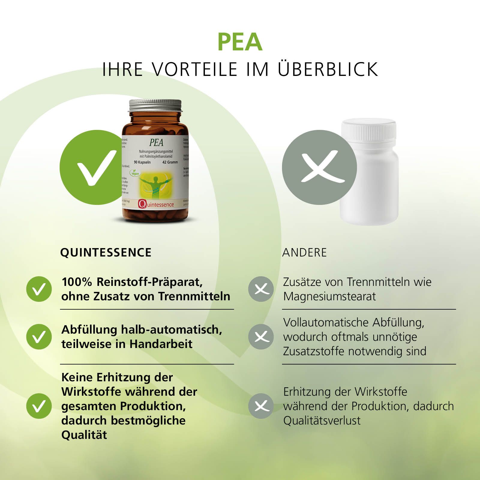 PEA Kapseln Palmitoylethanolamid Von Quintessence 42 G Shop Apotheke