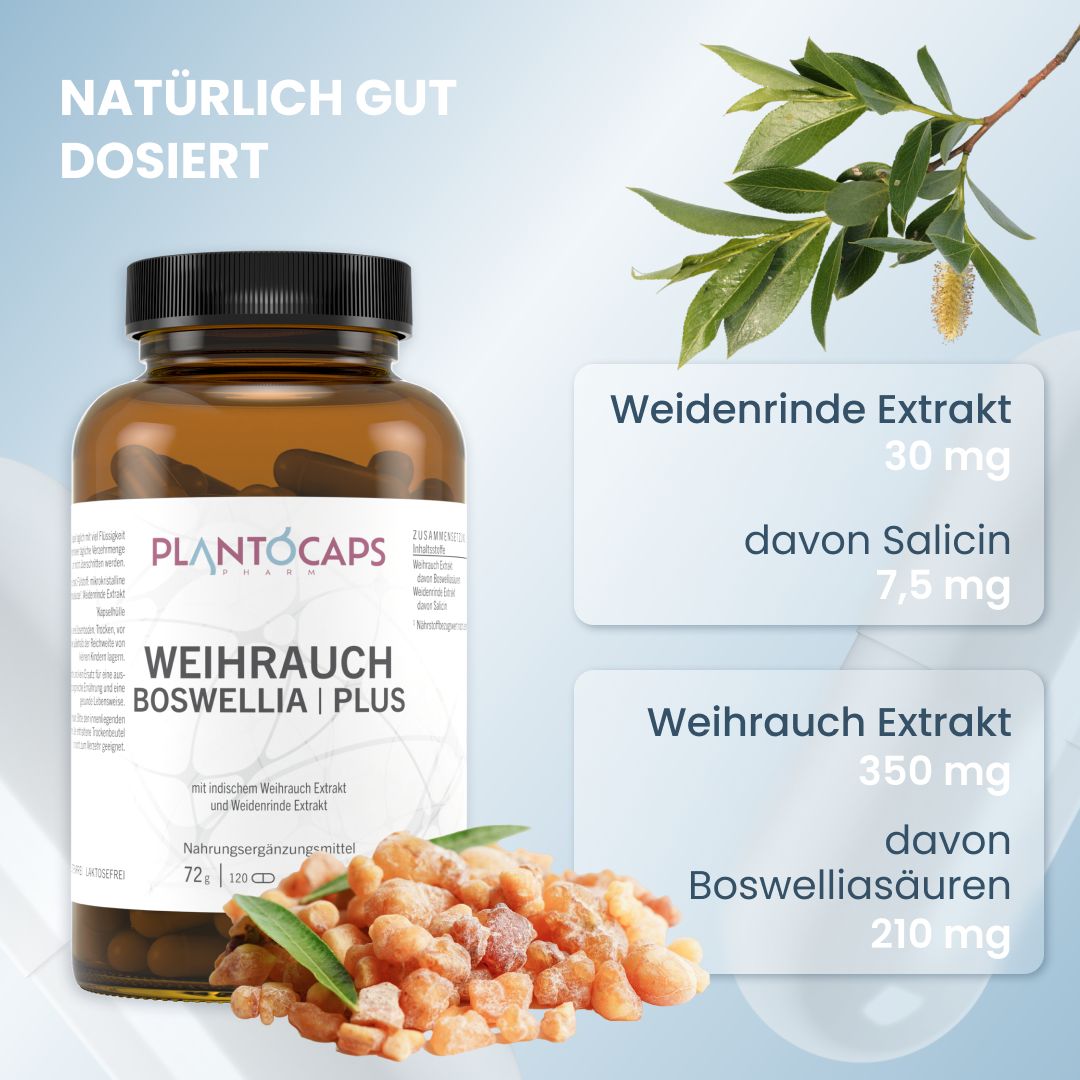 Plantocaps Weihrauch Boswellia Pur Plus St Shop Apotheke