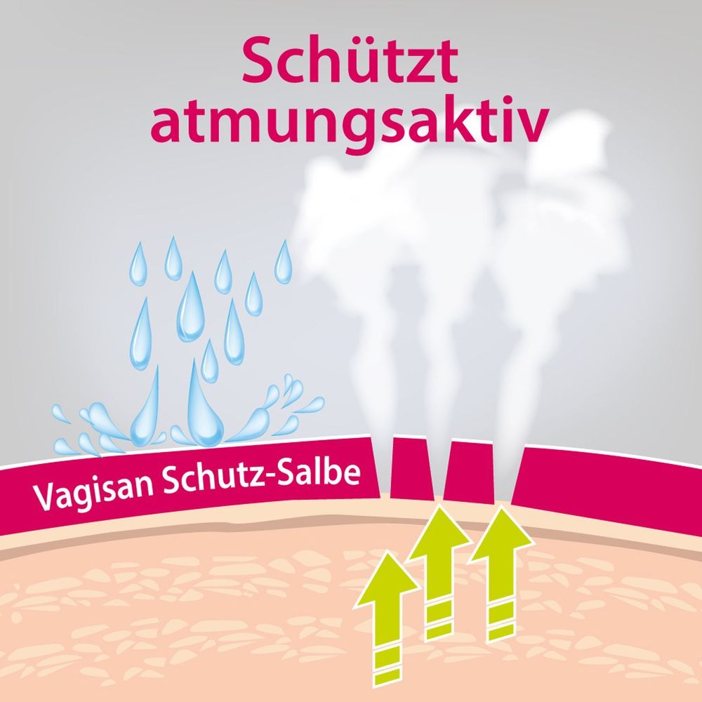 Vagisan SchutzSalbe Atmungsaktive Wundschutzcreme für den Intimbereich und zur täglichen