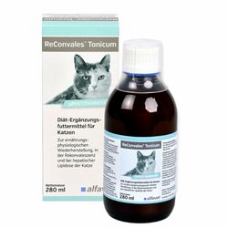 amoxicillin für katzen kaufen