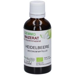 PhytoAustria Gemmo Mazerat Heidelbeere Bio Glycerinmazerat