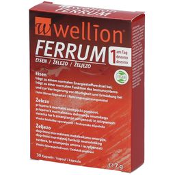wellion® Ferrum