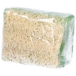 SAPHRÈ Aloe Vera-Seife mit Kürbisfaser