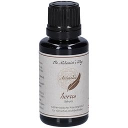 The Alchemist`s Way horus - Schutz