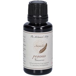 The Alchemist`s Way pegasus – Gelassenheit