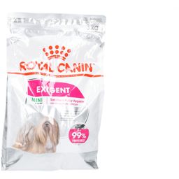Royal Canin Mini Exigent Trockenfutter für erwachsene wählerische Hunde
