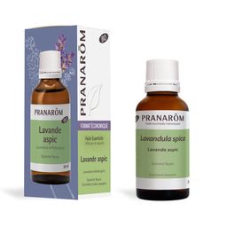 Pranarôm Ätherisches Öl Lavendel Aspik (Lavandula Latifolia Spica) Bio