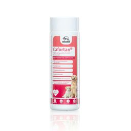 CAFORTAN Tabletten vet.