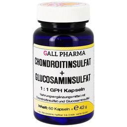 GALL PHARMA Chondroitinsulfat + Glucosaminsulfat 1:1