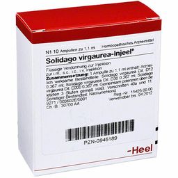 Solidago virgaurea-Injeel® Ampullen