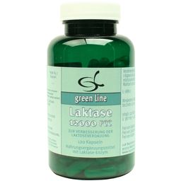green line NUTRITHEKE Laktase 12000 FCC