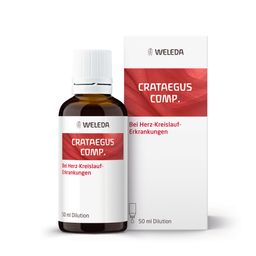 Crataegus comp. - Tropfen bei Herzschwäche, Missempfindungen im Herzbereich, Blutdruckschwankungen
