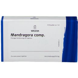 Mandragora comp.