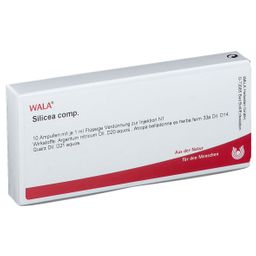 WALA® Silicea Comp. Amp.