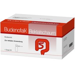 Budenofalk® 2 x 14 Hübe