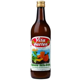 Vitagarten Balance Aktiv-Drink