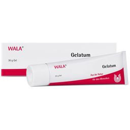WALA® ECHINACEA/VISCUM comp. Gelatum