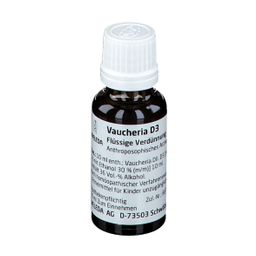 Vaucheria D3 Dilution