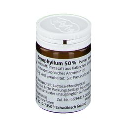 Bryophyllum 50% Pulver zum Einnehmen