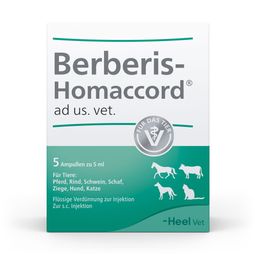 Berberis-Homaccord® ad us. vet. Ampullen