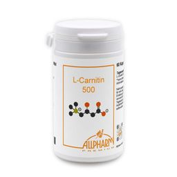 L-Carnitin 500 mg Kapseln