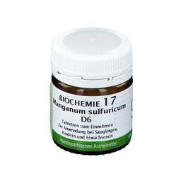 BIOCHEMIE 17 Manganum Sulfuricum D6