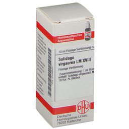 DHU Solidago Virgaurea LM XVIII
