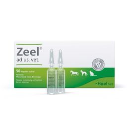 Zeel® ad us. vet. Ampullen