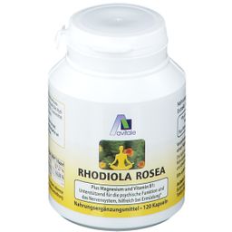 Avitale Rhodiola Rosea