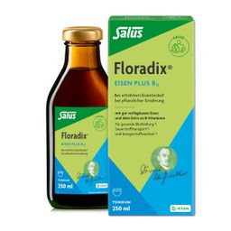Salus® Floradix® Eisen plus B12 vegan