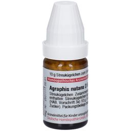 DHU Agraphis Nutans D6