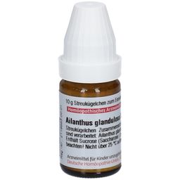 DHU Ailanthus Glandulosa D12