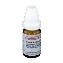 DHU Aranea Diadema D6