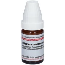 DHU Collinsonia Canadensis C30