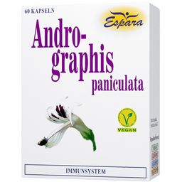 Andrographis paniculata