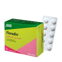 Floradix® Eisen 100 mg Forte