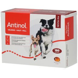 Antinol® Für Hunde
