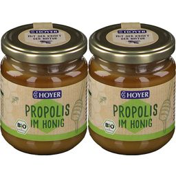 HOYER Propolis im Honig