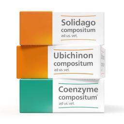 Solidago compositum ad us. vet. Ampullen + Ubichinon compositum ad us. vet. Ampullen + Coenzyme compositum® ad us. vet.
