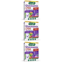 taxofit® Glucosamin 1700 Trinkgranulat