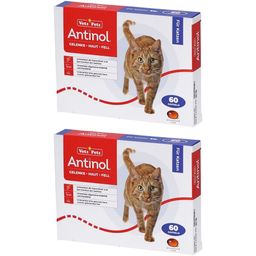 Antinol® Für Katzen
