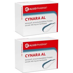 Cynara AL bei Verdauungsbeschwerden