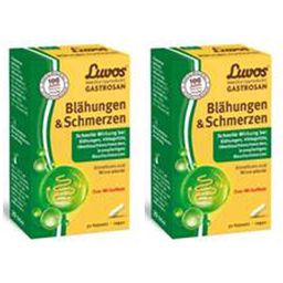 Luvos® Gastrosan Blähungen & Schmerzen