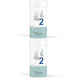 Schüßler-Salz Nr. 2 Calcium phosphoricum D6