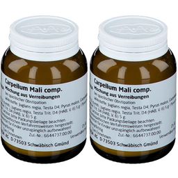 Carpellum Mali comp.