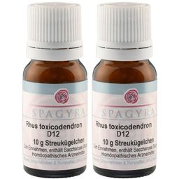 SPAGYRA Rhus toxicodendron D12